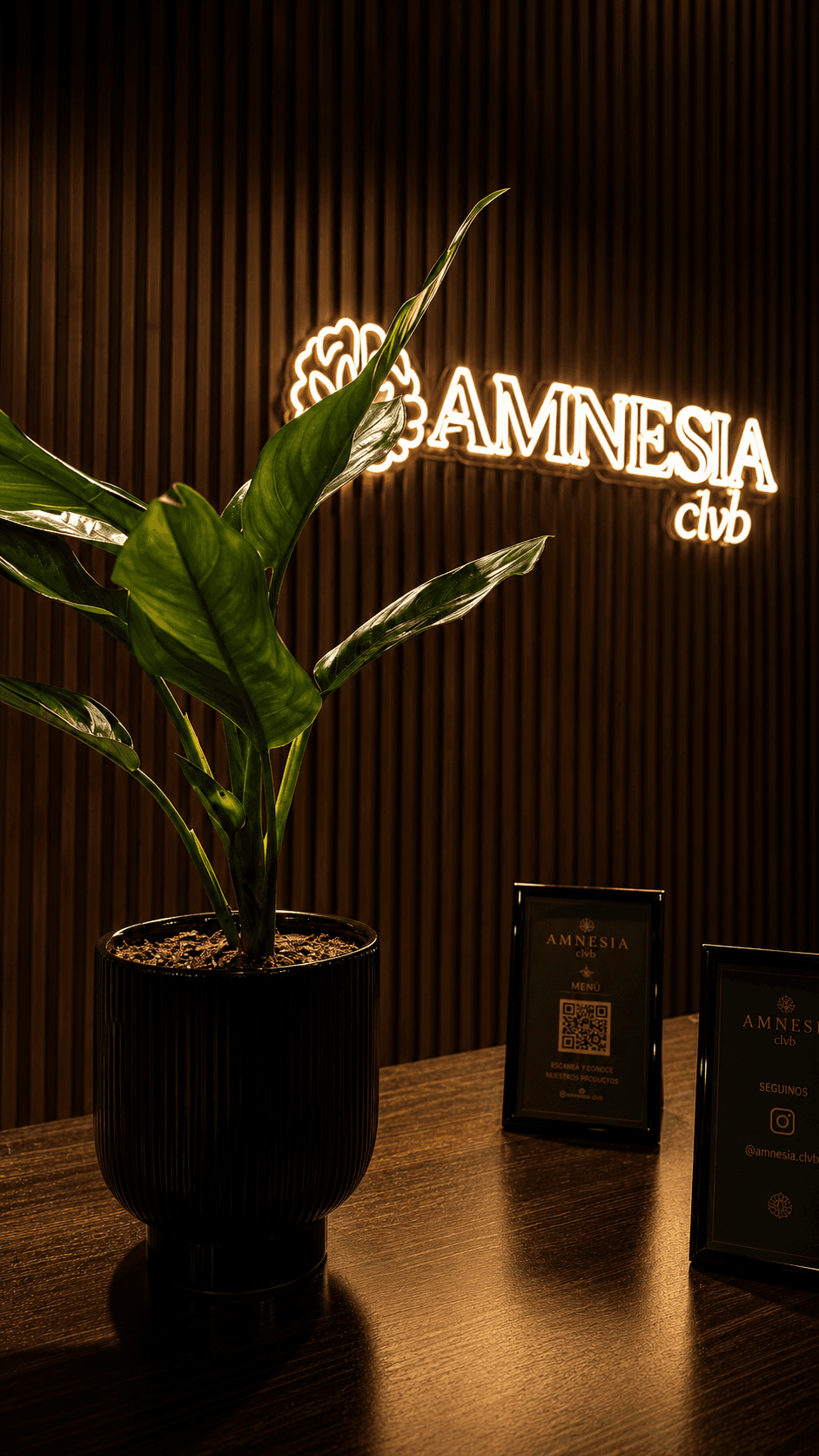 Cartel Amnesia Clvb con planta sobre mostrador de madera
