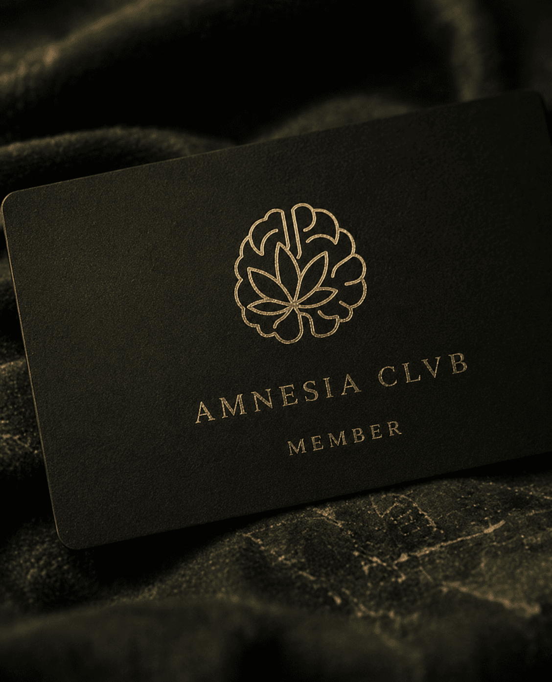 Tarjeta de membresía premium del club