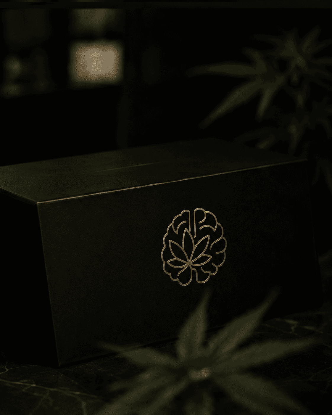 Caja negra premium para envíos discretos